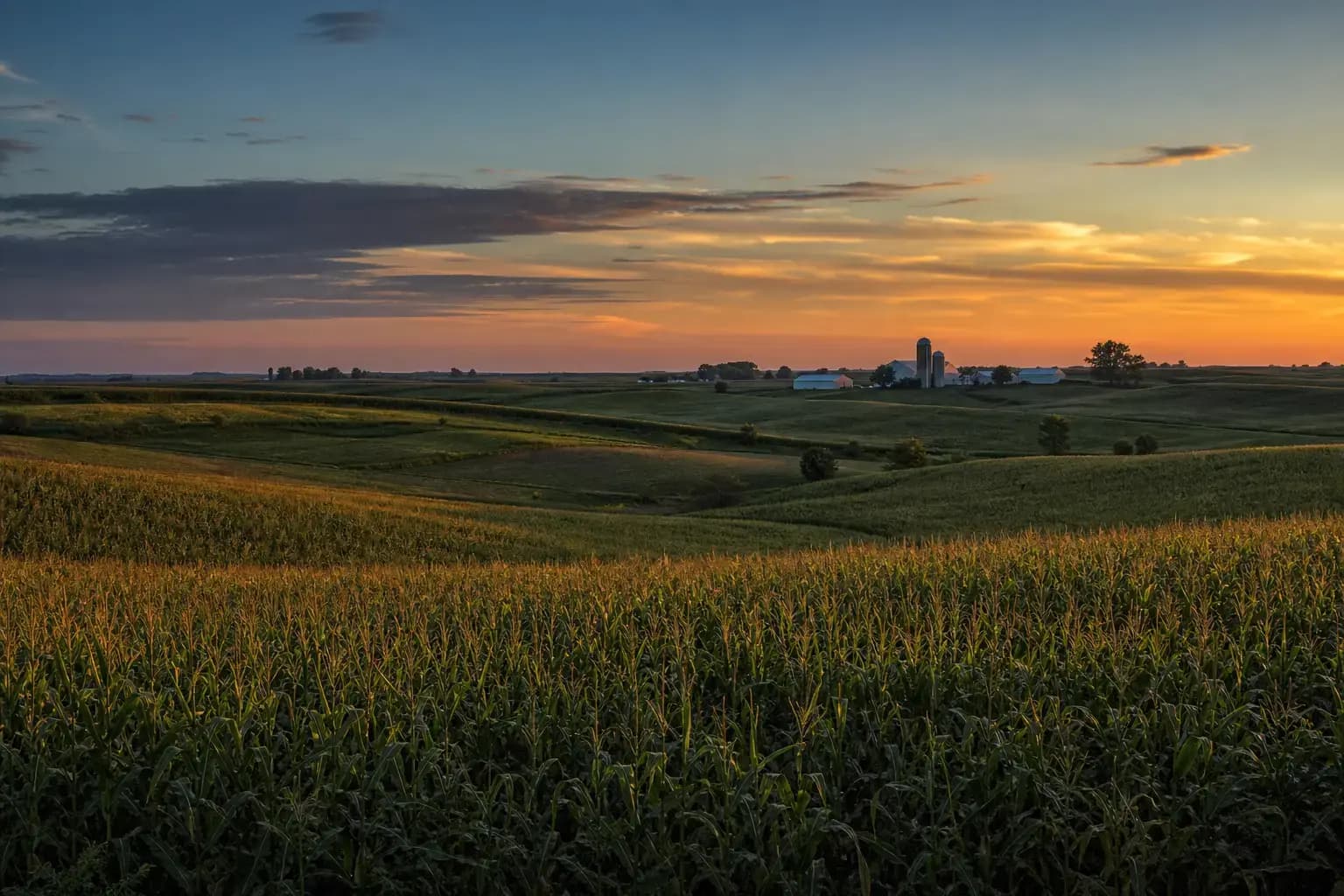 Rolling Iowa farmland at dusk under a wide prairie sky